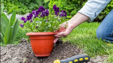 15 tipp, amivel spórolhatunk a kertben