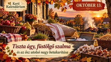 Október 13. Tiszta ágy, füstölgő szalma és az ősz utolsó nagy betakarítása