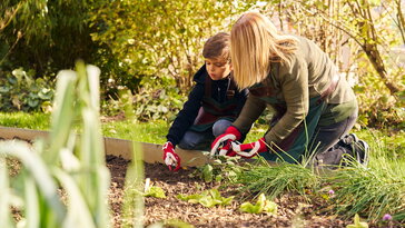 FELCO KIDS – ahol a kertészet élménnyé válik a gyerekeknek
