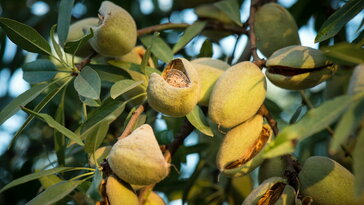 8d94346365f2952e29c06cd505637215 W364 H205 Cp