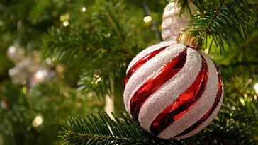 5 tipp, hogy hosszabb ideig frissen tartsuk a karácsonyfánkat