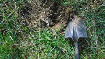 No-dig mozgalom vs. klasszikus kertészek – ki nyeri az őszi csatát?