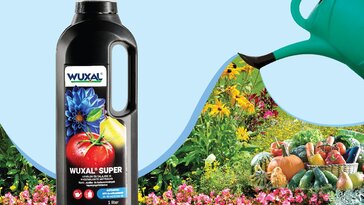 Wuxal® Super: Minden, amire a növénynek szüksége van