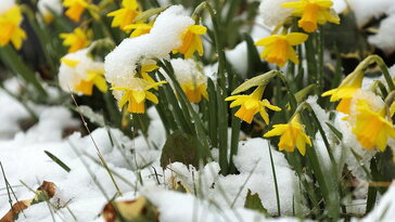 Miért nem érvényes már a március–április szabály?