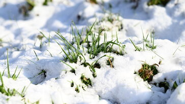 A hó alatti sár: miért ne menjünk rá ilyenkor a gyepre?