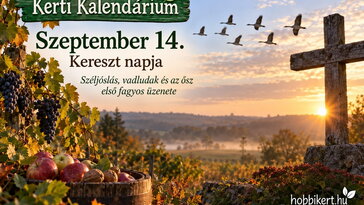 Szeptember 14. Kereszt napja: széljóslás, vadludak és az ősz első fagyos üzenete