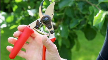 Kisméretű profi metszőollók – hogyan néz ki és kinek ideális a 14-15-ös méret?