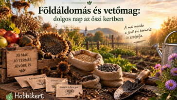Szeptember 10. Földáldomás és vetőmag: dolgos nap az őszi kertben
