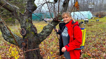 Muszáj lemosó permetezni? Székely Gyöngyvér válaszol!