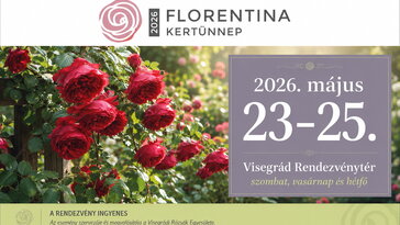 Rózsák, zene és virágos ünnepi menet – a Florentina Kertünnep vár Visegrádon a pünkösdi hétvégén