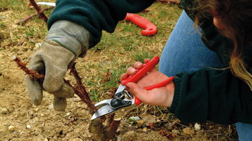 A kert az a hely, ahol a tested visszajelez