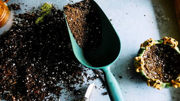 10 kerti jelenség, amelyet mindenki félreért – pedig teljesen ártalmatlanok