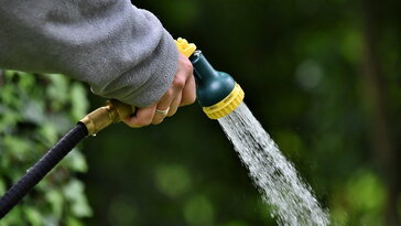Túl sokat vagy túl keveset öntözöl? – Így olvasd le a növényeidről
