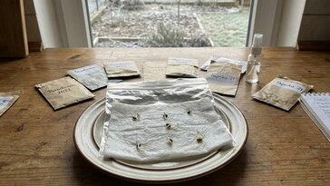 Vetőmag-ellenőrzés február végén – életképesek még a tavalyi remények?