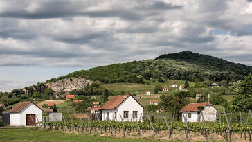 Honnan jönnek a népi időjósló megfigyelések – és mi történik velük a klímaváltozás korában?