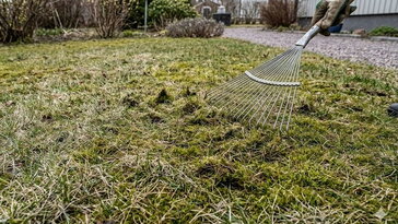 Pázsit ébresztése – most gereblyézzünk vagy még várjunk?