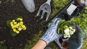 Kertészkedés – hobbiból hivatás?!