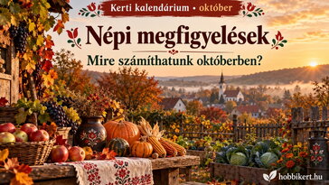 Népi megfigyelések: mire számíthatunk októberben?