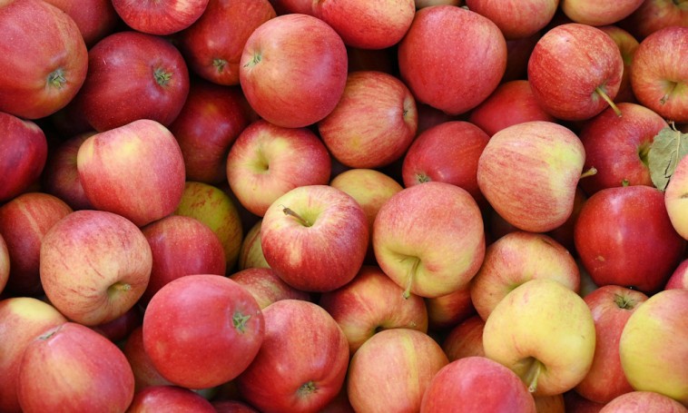 Így tároljuk helyesen az almát, hogy egész télen fogyaszthassuk