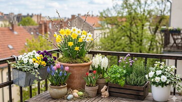 Húsvétra is látványos balkon és terasz: 5 gyors konténeres beültetés, ami tényleg ünnepi hangulatot ad