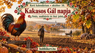 Október 16. Kakasos Gál napja