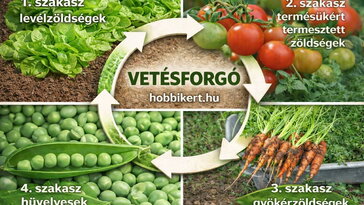 E0dde7a31d2366678945ea792e0f4a16 W364 H205 Cp