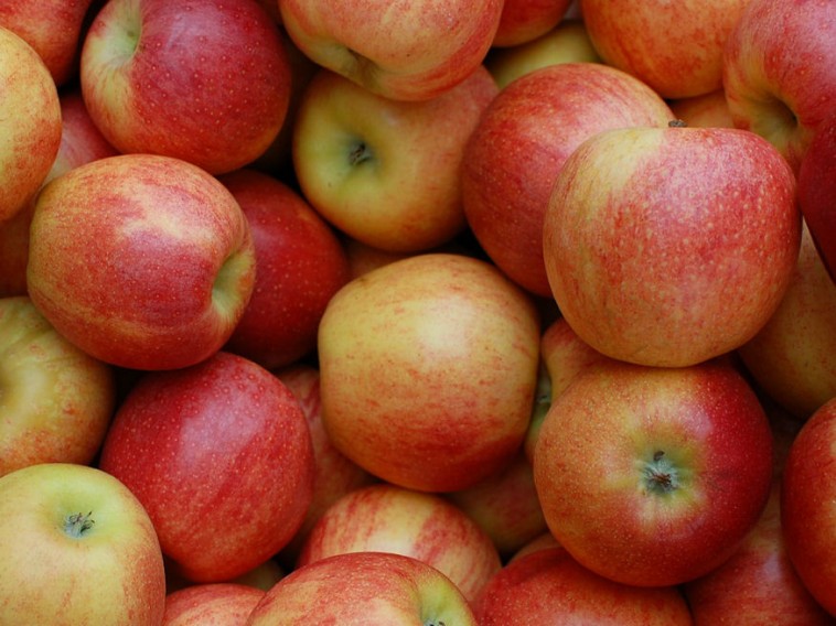 Hogy tegyük el az almát, hogy kitartson tavaszig?
