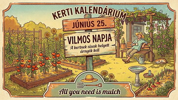 Június 25. Vilmos napja, amikor a kertnek sisak helyett árnyék kell