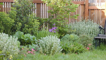 A kerttervezés láthatatlan hibái, amik csak évek múlva bosszulják meg magukat