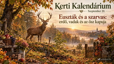 Szeptember 20. Euszták és a szarvas: erdő, vadak és az ősz kapuja