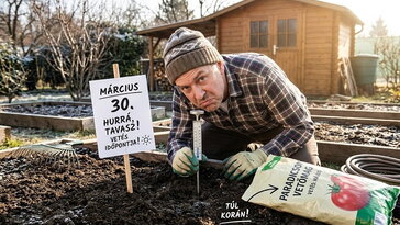 Nem a naptár mondja meg, mikor vess: a talajhőmérő az a kerti eszköz, amin meglepően sok minden múlik