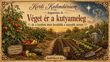 Augusztus 11. Véget ér a kutyameleg – de a kertben most kezdődik a második szezon