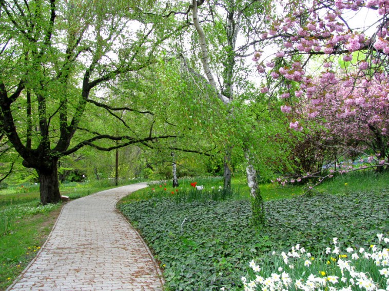 Városi vadon a Budai Arborétum