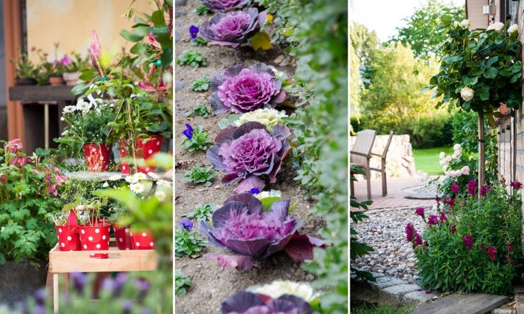 Első kert gyakorlatilag ingyen – ezen a 10 dolgon spórolhatsz!