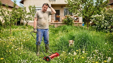 Vágatlan május: nyírjuk a füvet májusban, vagy hagyjuk végre békén a gyepet?