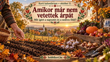 Október 11. Amikor már nem vetettek árpát – mit ígért a napsütés és a nedves föld?