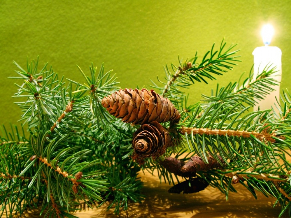 Felgyulladó karácsonyfa esetén mi a teendő?
