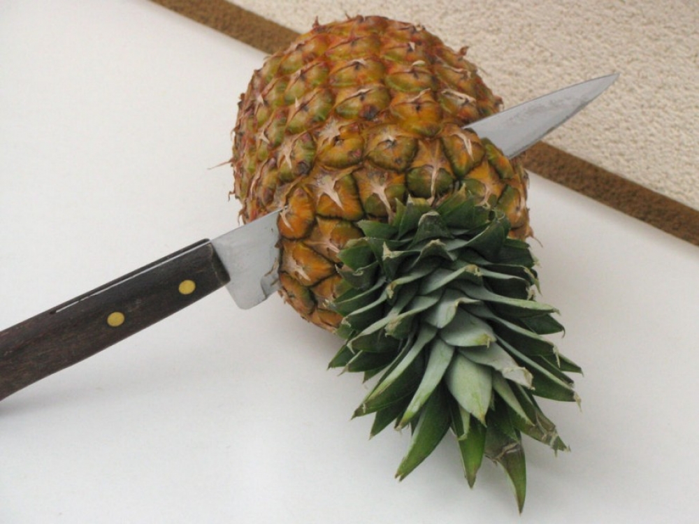 Hawaii van? Nevelj cserépben ananászt!
