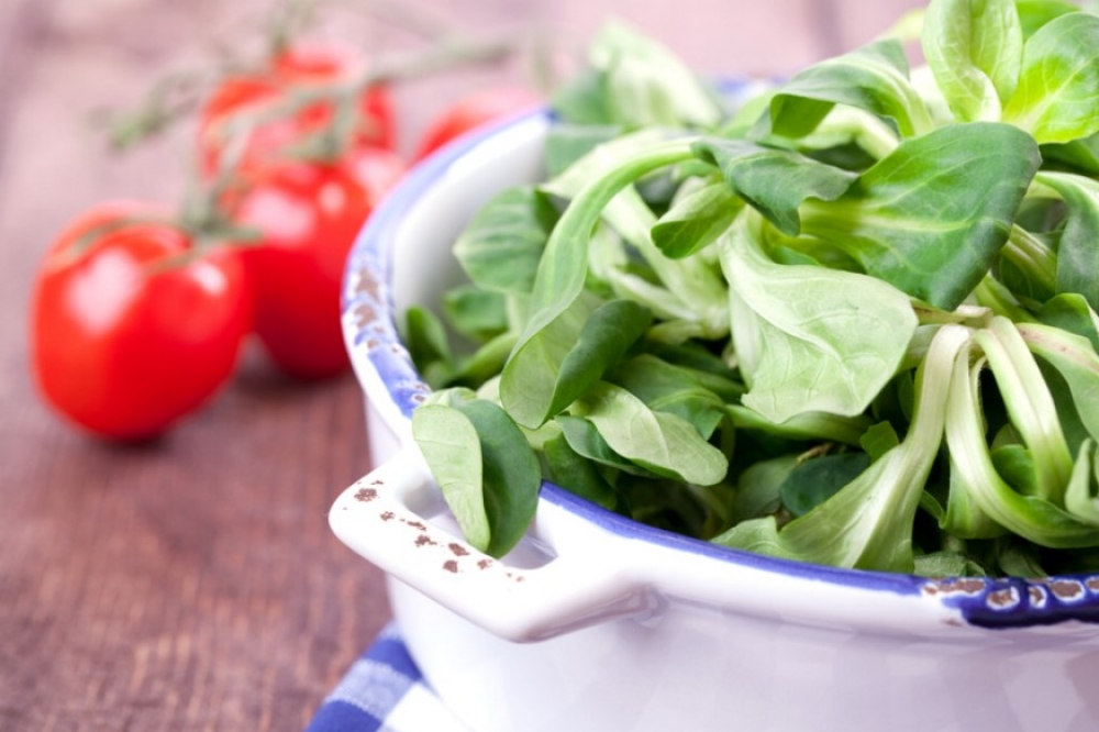 10 príma kerti saláta termesztése