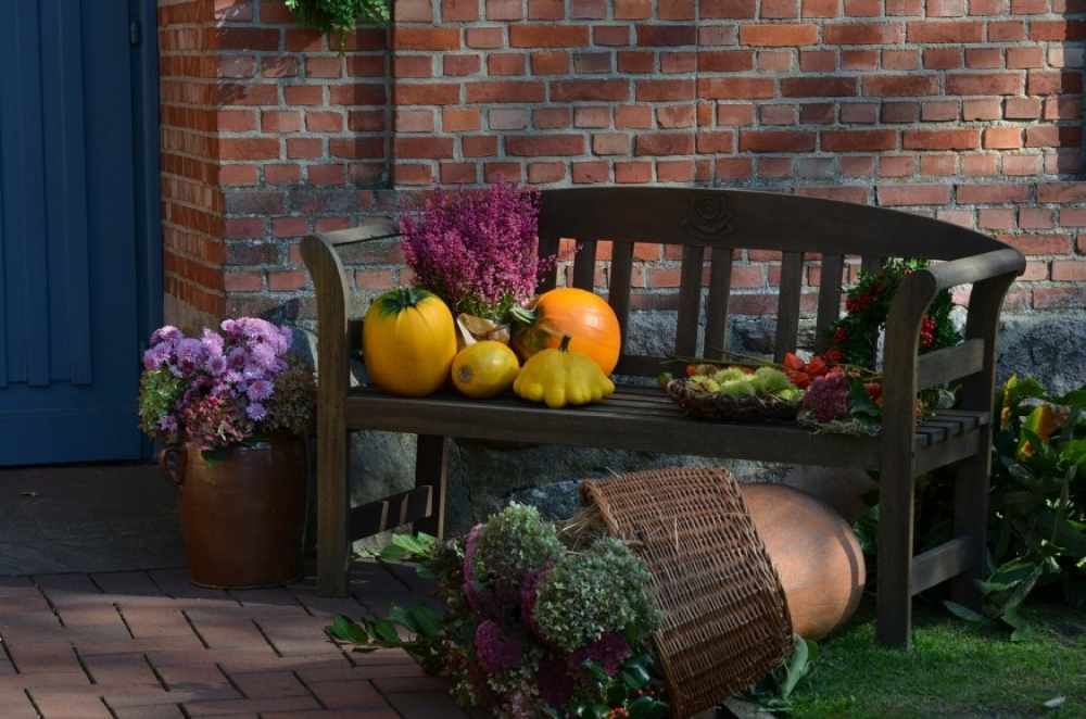 Mielőtt elfelejtjük: az őszi kerti nagytakarítás legfontosabb lépései