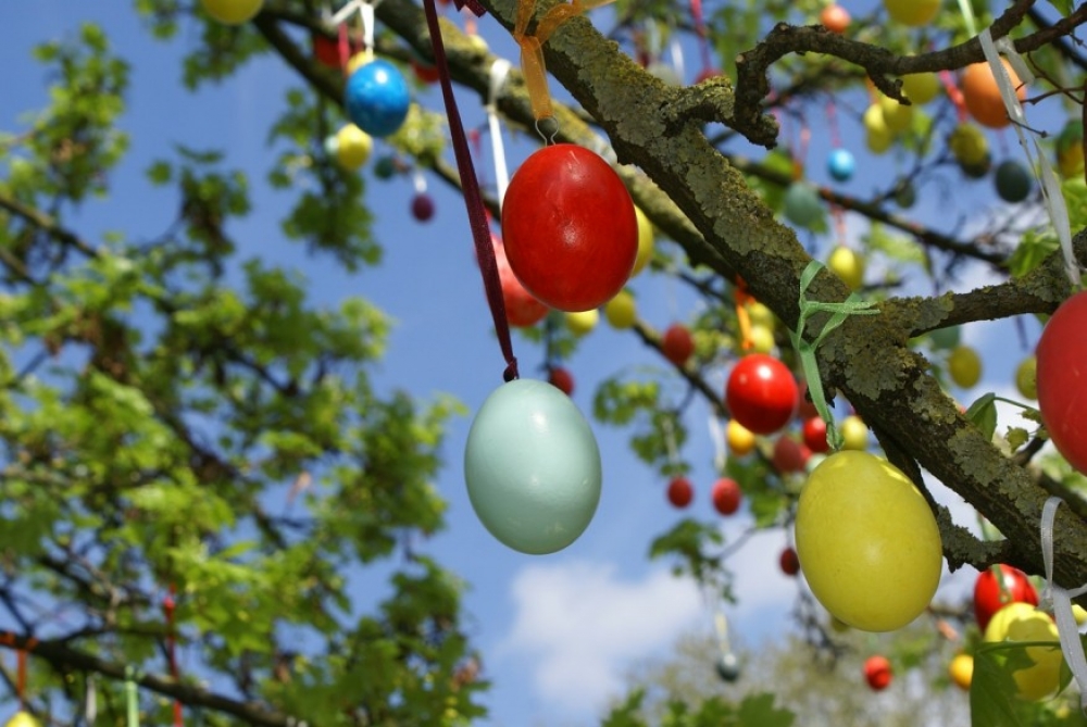 Húsvéti tojásfa: a világ minden pontján megterem