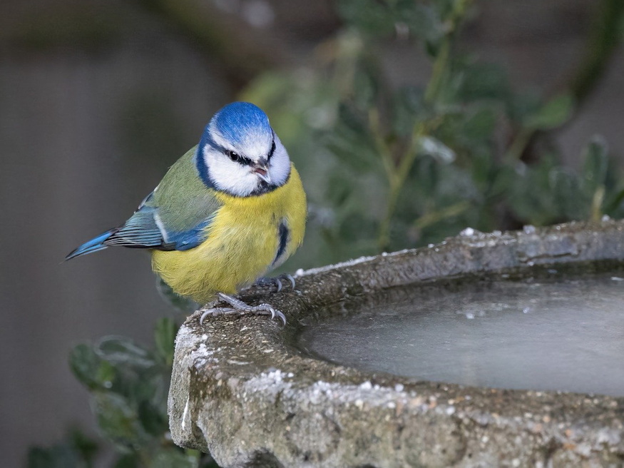 madaritato telen tevhitek 04