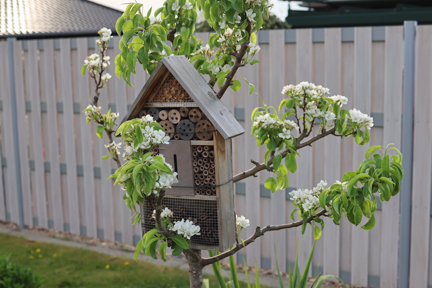 rovarhotel tul jol mukodik 04