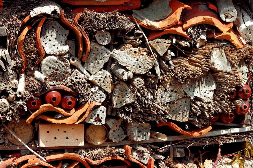 rovarhotel tul jol mukodik 05