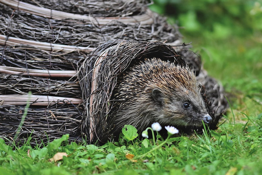 sunok teli airbnb je 02