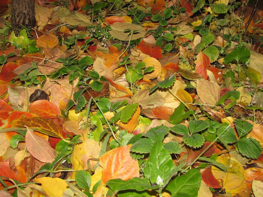 sunok teli airbnb je 03