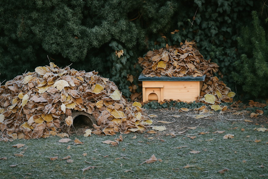 sunok teli airbnb je 04