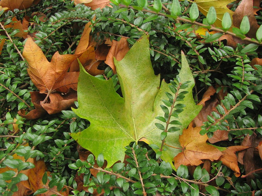 sunok teli airbnb je 06