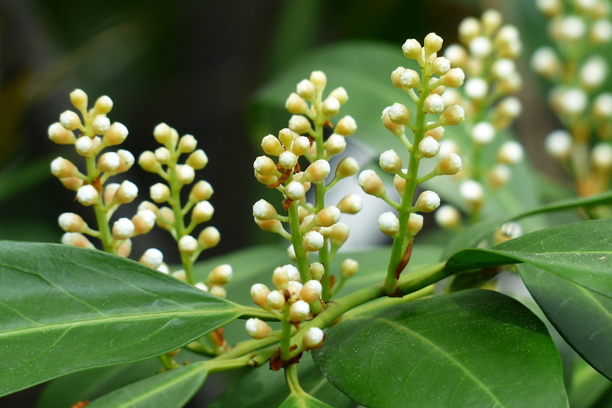 babermeggy sokfele szerep 03