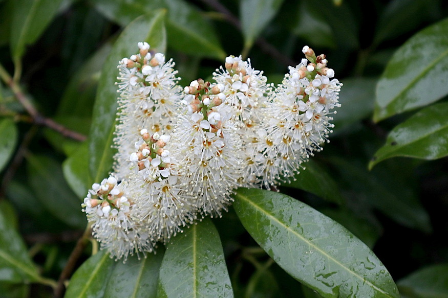 babermeggy sokfele szerep 06